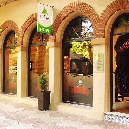 Posada Los Pinos Colonia del Sacramento Dış mekan fotoğraf